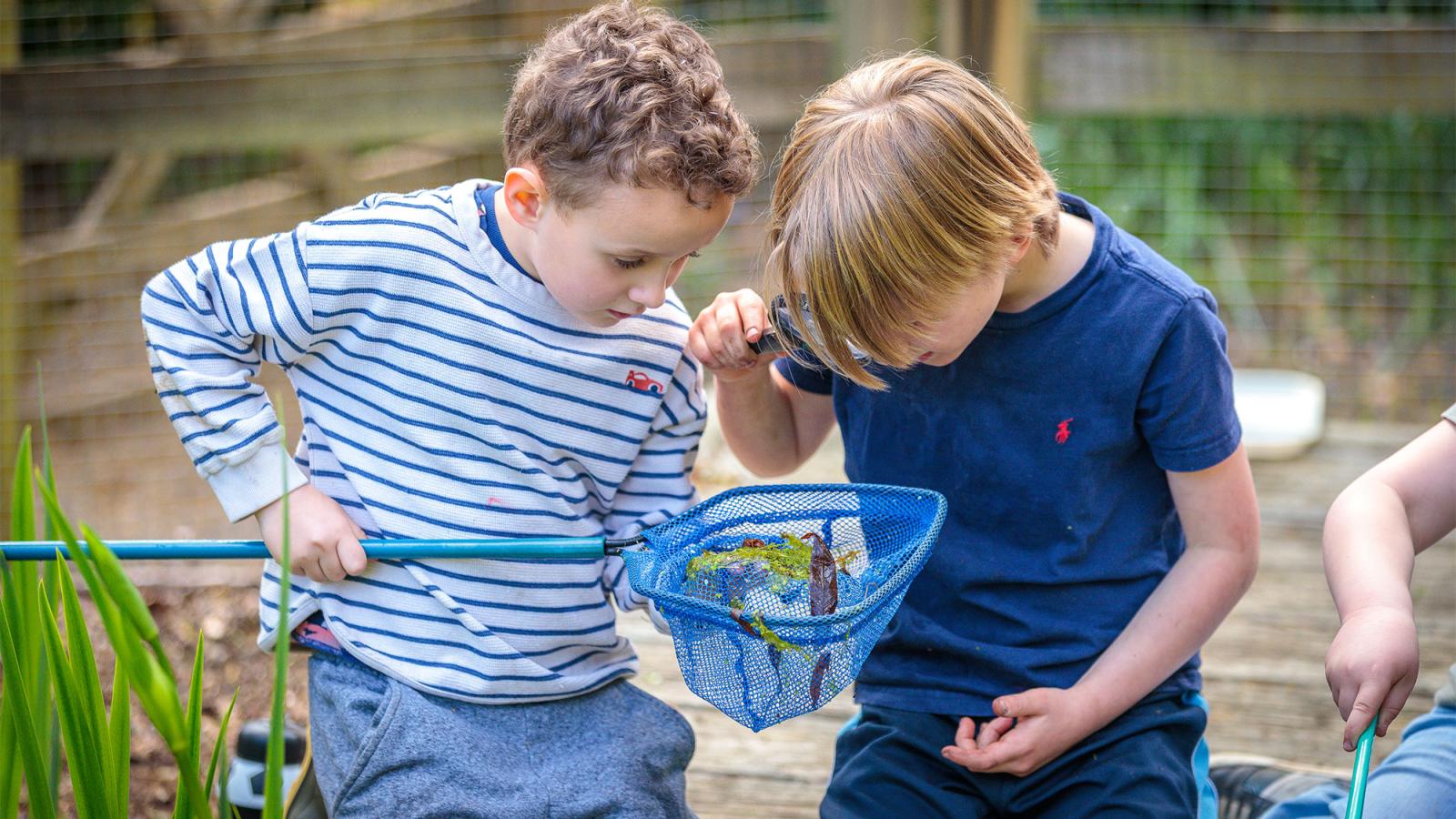 Children pond dipping at Bedales Pre-prep